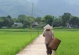 Reis naar Vietnam met stopover Singapore foto 4