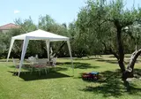 Evripidis foto 11