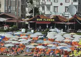 Fly & Go Sunflower foto 12