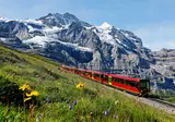 Ontdek de Jungfrau Region vanuit Brienz foto 10