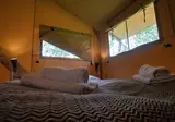 Ecolodges de Dreef foto 4
