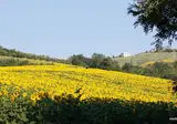 Lodges Podere Sei Poorte foto 7