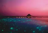 Coco Bodu Hithi foto 16