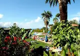 O7 Tenerife foto 26