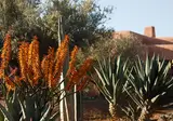 Oasis Lodges foto 27