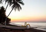 The Damai foto 21