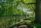 Het Amsterdamse Bos foto 7