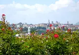 Città Dei Mille foto 21