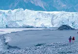 Alaska & Yukon Highlights foto 7