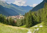 Hotel Der Tannenhof foto 1