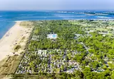 Camping Marina Di Venezia foto 30
