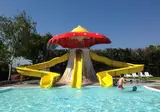 Camping Rubicone foto 8
