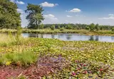 Vakantiepark De Toffe Peer foto 21