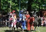 Ferienresort Bad Bentheim foto 28
