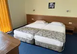 Perunika foto 8