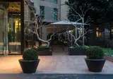 Starhotels E.c.ho. foto 20