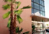 Hotel Neptuno foto 17