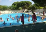 Roca Grossa foto 14