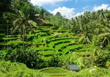 De verborgen schatten van Java en Bali foto 19