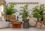 Anfitrion Marbella Villas & Suites foto 1
