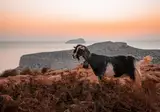 Ontdek de noordkust van Kreta foto 6