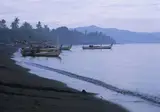 The Damai foto 19