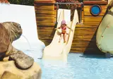 Le Dauphin foto 19