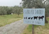 Agriturismo Podere Il Fornacino foto 24