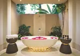 Nandini Jungle by Hanging Gardens foto 30