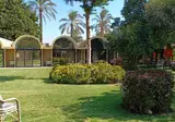 JAZ Pyramids Resort foto 30