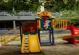 Perunika foto 6