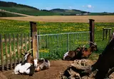 Landgasthof Wüllner foto 4