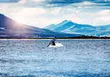 Explore the Garden Route & Beyond foto 3