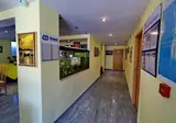 Bora Bora Hotel foto 8