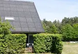 Horsetellerie Rheezerveen foto 3