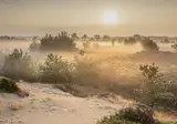 Camping Diever foto 13