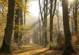 Waldhotel Stuttgart foto 21