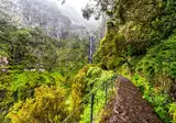 Mooi Madeira foto 6