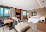Sheraton Grand Tbilisi Metechi Palace foto 26