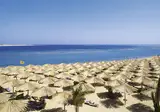Jaz Makadi Oasis Resort & Club foto 23