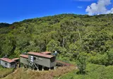 Rainforest Eco Lodge foto 2