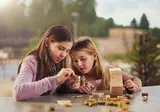 Les Landes De Gascogne foto 16