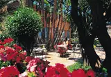Grand Hotel Terme Di Augusto foto 1
