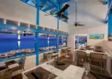 Divi Flamingo Beach Resort & Casino foto 15