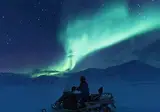 Spot Polar Bears in Spitsbergen foto 6