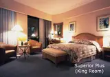 Grand Copthorne Waterfront Singapore foto 3