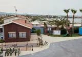 Taïga Delta De L Ebre foto 13