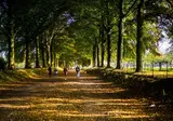 DoubleTree by Hilton Sittard foto 33