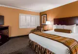 Best Western Plus Casino Royale foto 25