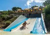 Le Pianacce Camping Village foto 5